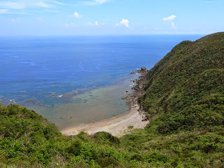 6月11日(木)月一ナイトマーケット★ほろ夜市<第25回>