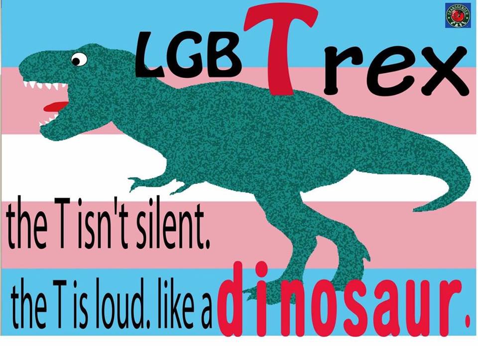 7月23日(土)昼:第11回 デモクラシーワークショップ 〜トランスジェンダーとジェンダーの問題を考えてみる〜