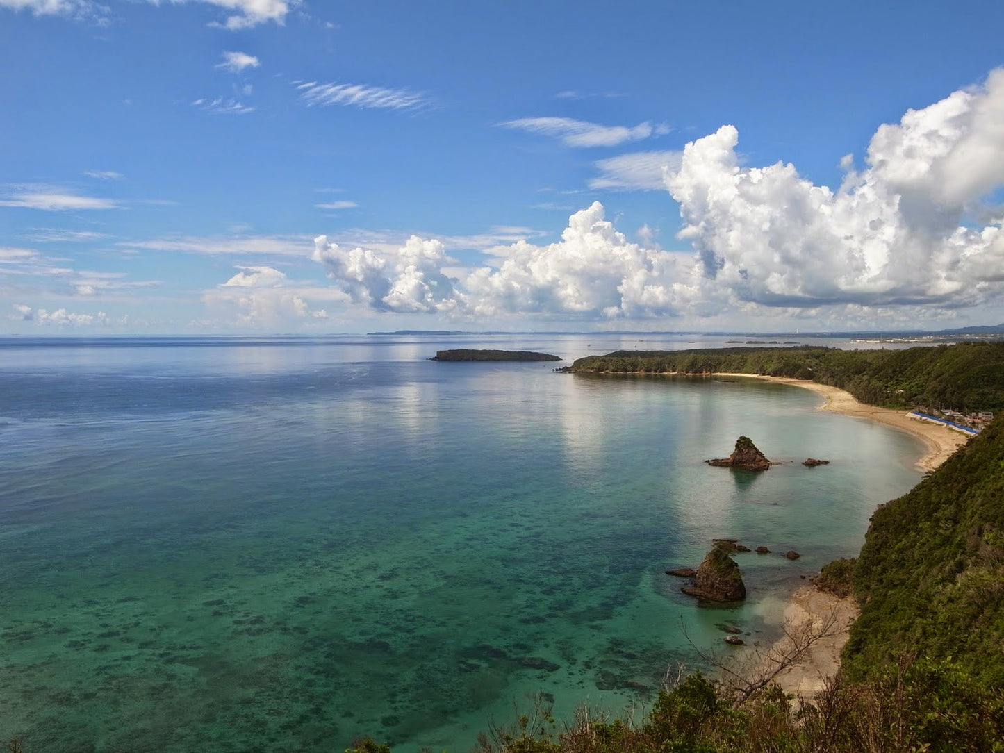 2月4日(水)月一ナイトマーケット★ほろ夜市<第21回>