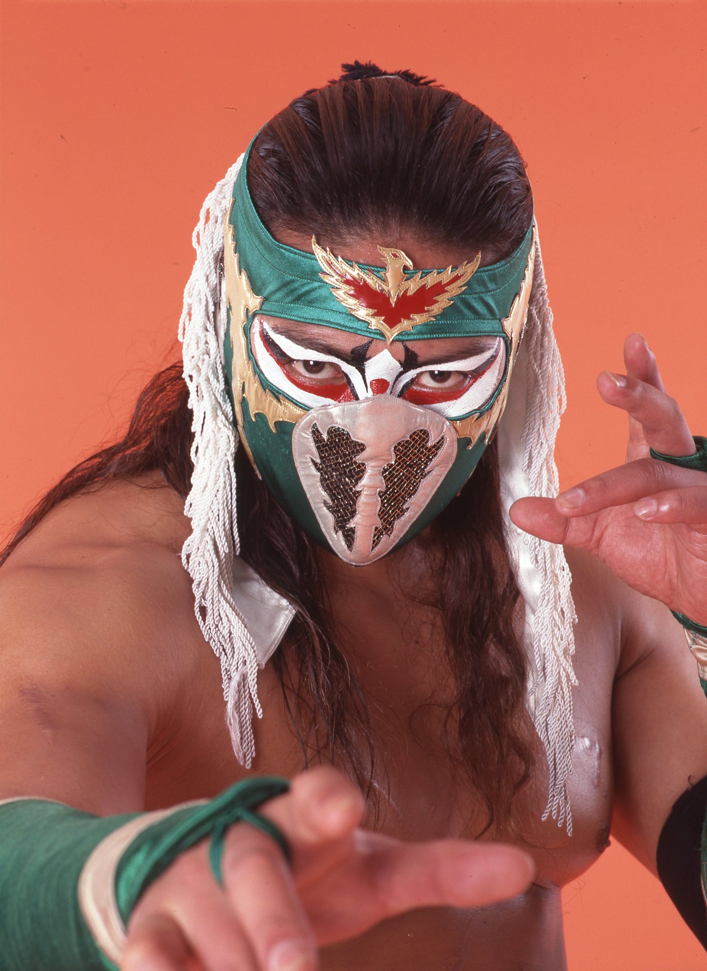 3月29日(火)「今夜はハヤブサを語りましょう」