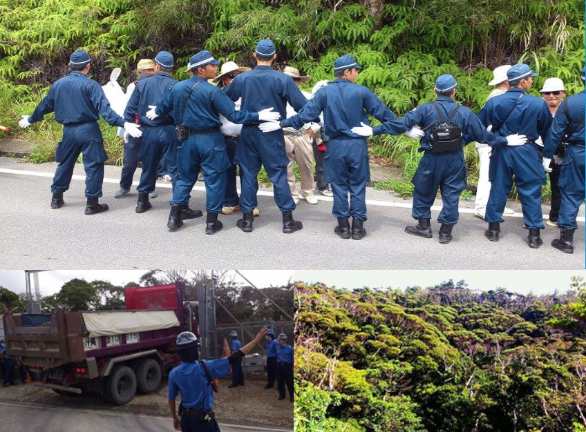 8月24日(水)「ストリートゼミナール緊急報告会! return from 高江」
