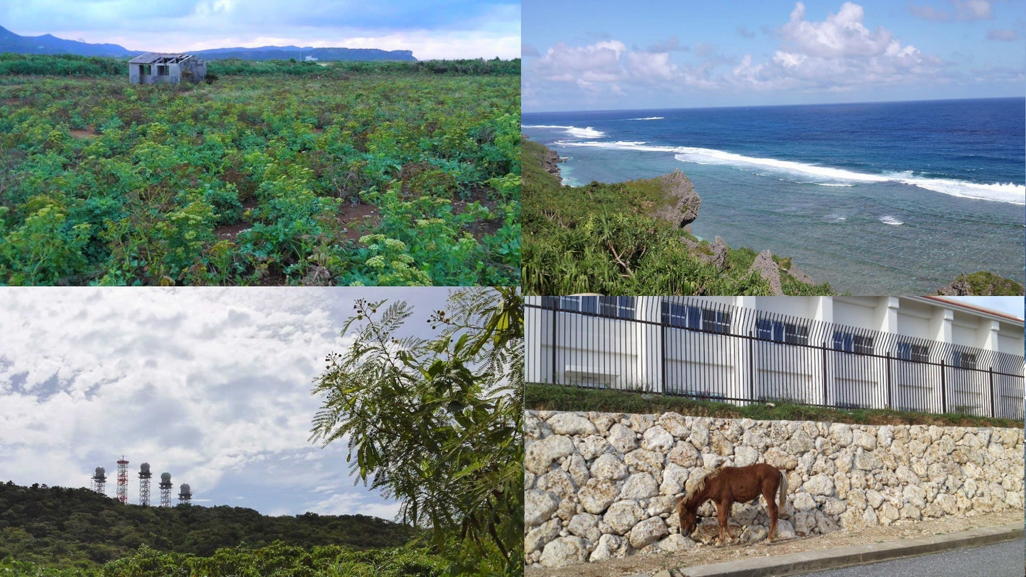11月21日(火)「南西諸島で進む自衛隊配備を、最先端の与那国島から」